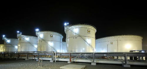 中石化境外項目榮膺全球倉儲業(yè)殊榮，引領(lǐng)行業(yè)創(chuàng)新與標(biāo)準(zhǔn)化